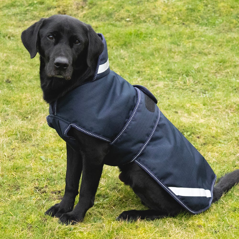 Benji &amp; Flo Waterproof Dog Coat image 1
